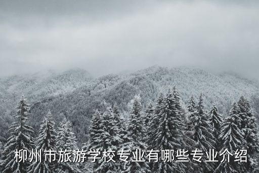  柳州市旅游学校专业有哪些专业介绍