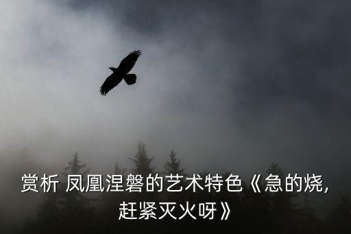 赏析 凤凰涅磐的艺术特色《急的烧,赶紧灭火呀》