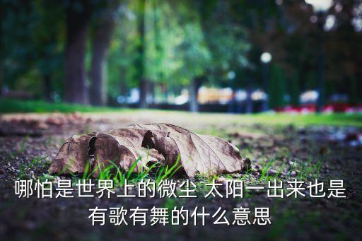 太阳歌舞蹈,太阳姑娘舞蹈视频完整版