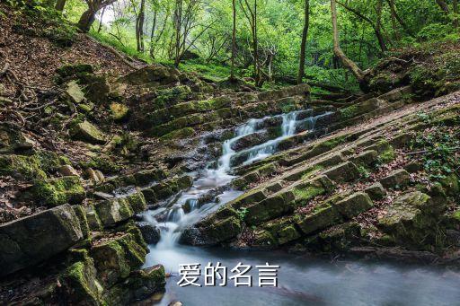 爱的名言