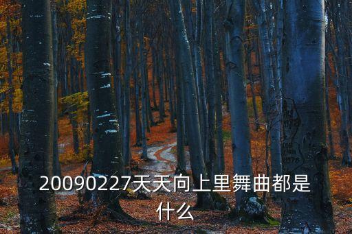 20090227天天向上里舞曲都是什么