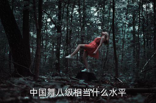 中国舞八级相当什么水平
