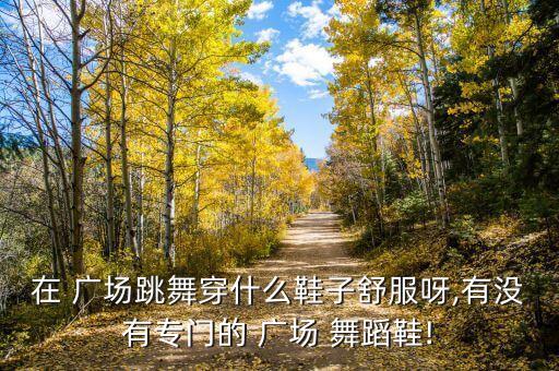 男士广场舞舞蹈鞋,广场舞舞蹈鞋哪个品牌好