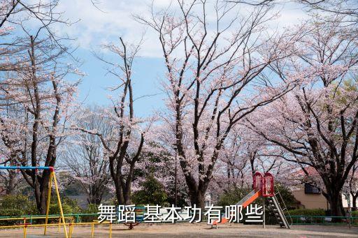  舞蹈 基本功有哪些