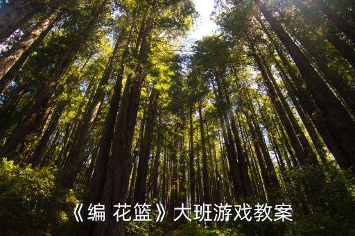 《编 花篮》大班游戏教案