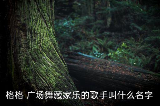 格格 广场舞藏家乐的歌手叫什么名字