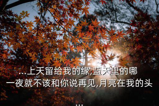 儿童舞蹈梦见你的那一夜,藏族舞蹈梦见你的那一夜 分解动作