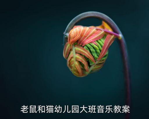  老鼠和猫幼儿园大班音乐教案