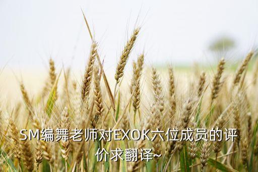 SM编舞老师对EXOK六位成员的评价求翻译~