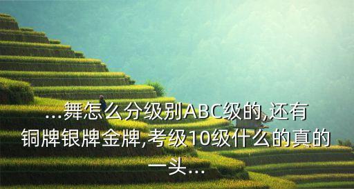 ...舞怎么分级别ABC级的,还有铜牌银牌金牌,考级10级什么的真的一头...