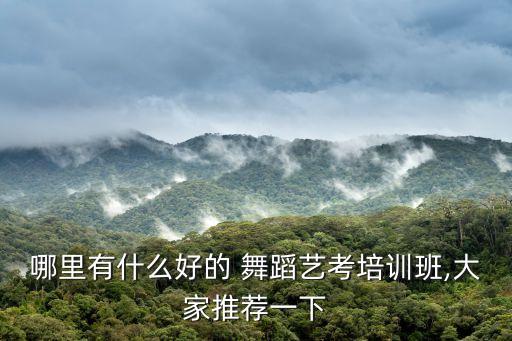 哪里有什么好的 舞蹈艺考培训班,大家推荐一下