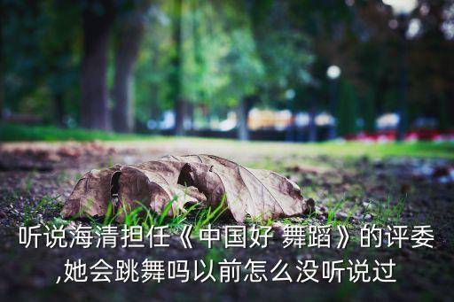 中国好舞蹈2016选拔赛
