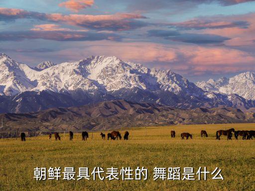 朝鲜古典舞蹈,朝鲜舞蹈红太阳照边疆