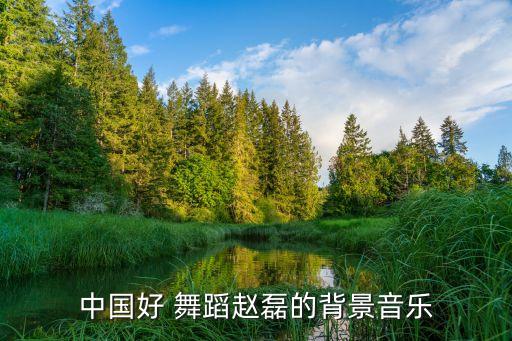 中国好 舞蹈赵磊的背景音乐