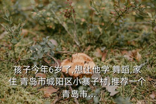 孩子今年6岁了,想让他学 舞蹈,家住 青岛市城阳区小寨子村,推荐一个 青岛市...