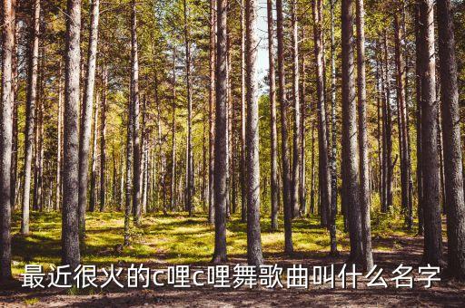 最近很火的c哩c哩舞歌曲叫什么名字