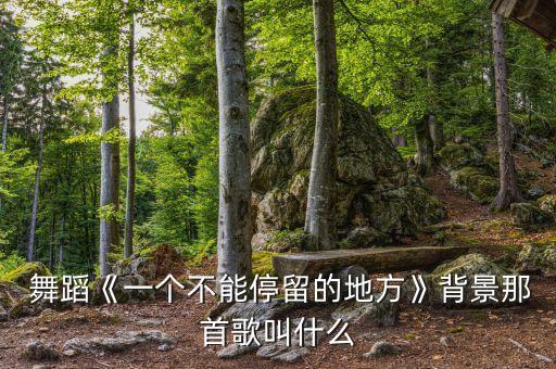  舞蹈《一个不能停留的地方》背景那首歌叫什么