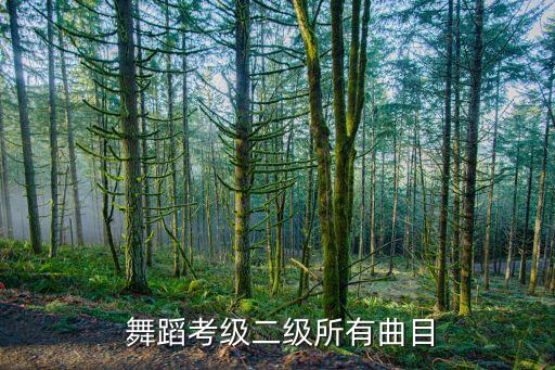  舞蹈考级二级所有曲目