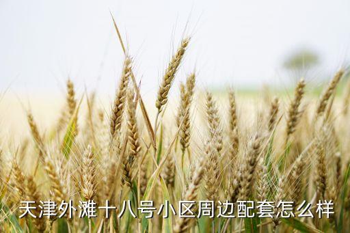  天津外滩十八号小区周边配套怎么样