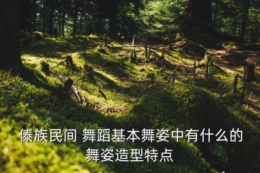 傣族手位舞蹈视频,傣族舞蹈手型