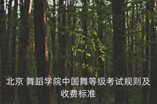 中国舞蹈八级蒙古族,八级中国舞蹈孔融让梨