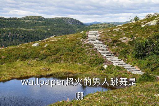 wallpaper超火的男人跳舞是哪