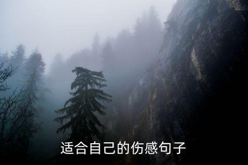 适合自己的伤感句子