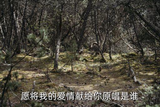 愿将我的爱情献给你原唱是谁