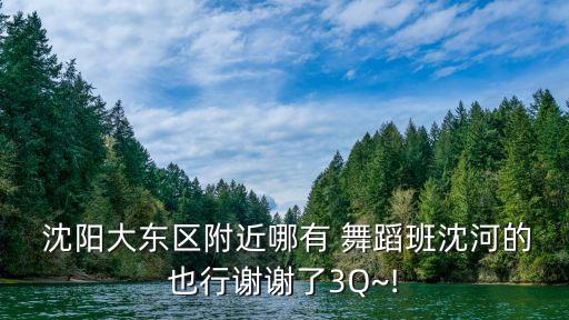  沈阳大东区附近哪有 舞蹈班沈河的也行谢谢了3Q~!