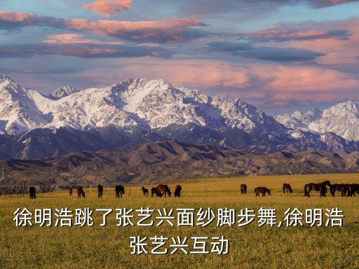 徐明浩跳了张艺兴面纱脚步舞,徐明浩张艺兴互动