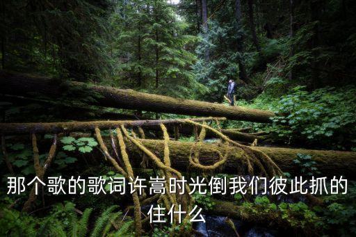那个歌的歌词许嵩时光倒我们彼此抓的住什么