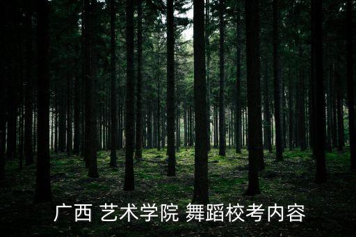  广西 艺术学院 舞蹈校考内容