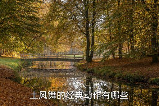最炫舞蹈步伐,舞蹈步伐训练的基本内容