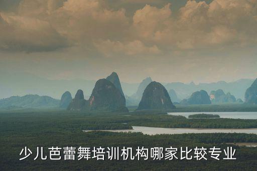 少儿芭蕾舞培训机构哪家比较专业