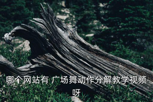 哪个网站有 广场舞动作分解教学视频呀