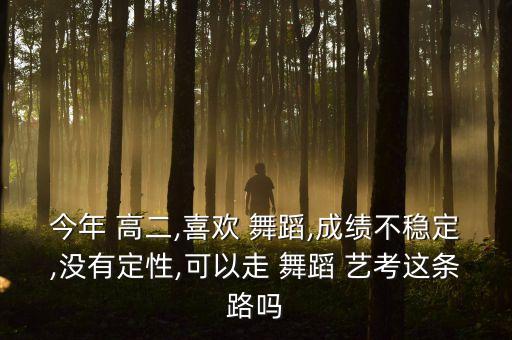 今年 高二,喜欢 舞蹈,成绩不稳定,没有定性,可以走 舞蹈 艺考这条路吗