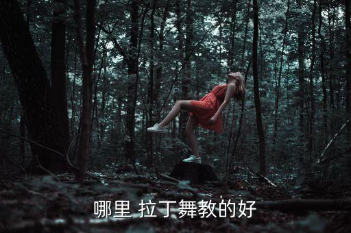 哪里 拉丁舞教的好