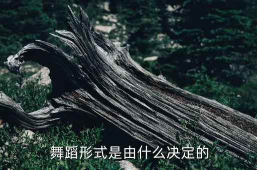  舞蹈形式是由什么决定的