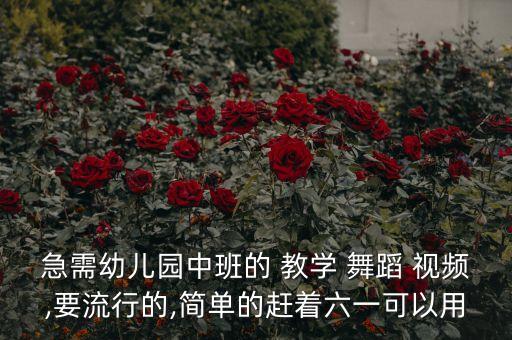 急需幼儿园中班的 教学 舞蹈 视频,要流行的,简单的赶着六一可以用