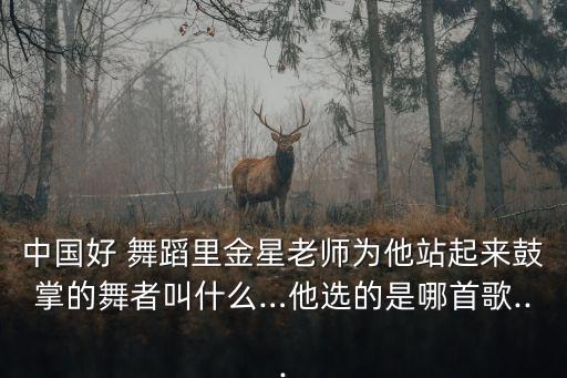 中国好 舞蹈里金星老师为他站起来鼓掌的舞者叫什么…他选的是哪首歌...