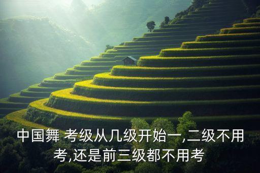 中国舞 考级从几级开始一,二级不用考,还是前三级都不用考