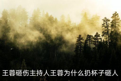 王蓉砸伤主持人王蓉为什么扔杯子砸人