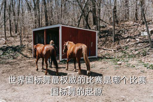  世界国标舞最权威的比赛是哪个比赛国标舞的起源