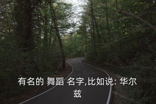 有名的 舞蹈 名字,比如说: 华尔兹