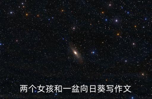 两个女孩和一盆向日葵写作文