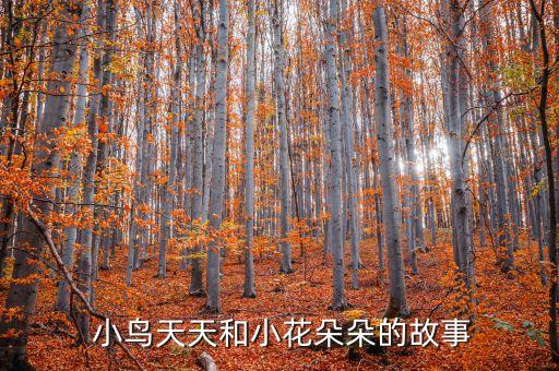 花与小鸟舞蹈视频大全,小鸟喳喳喳的舞蹈视频