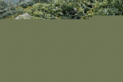  舞蹈常用的八种教学方法