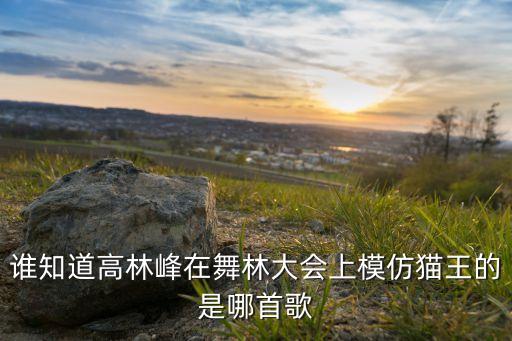 谁知道高林峰在舞林大会上模仿猫王的是哪首歌