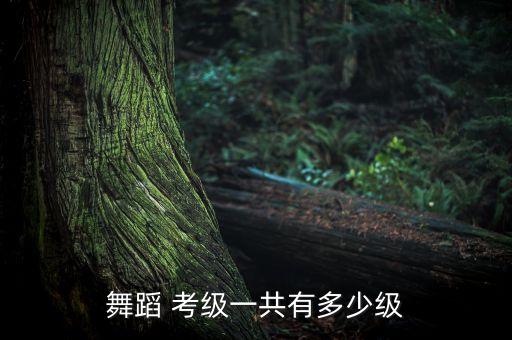 舞蹈 考级一共有多少级