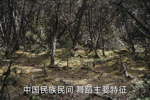 中国民族民间 舞蹈主要特征